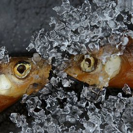 Fishing in ice by Mascha de Lange