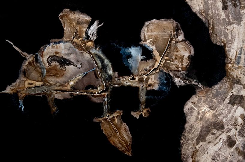 Tweelingen op versteend hout van Franke de Jong