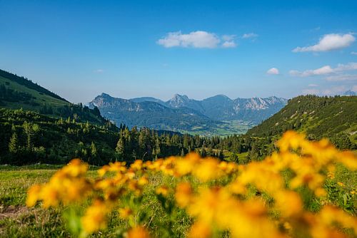 Bloemrijk uitzicht op het Tannheimdal