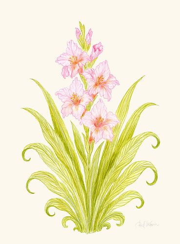Fleur d'une grâce sereine – Motifs botaniques roses sur soie crème