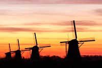 Kinderdijk bij zonsopkomst