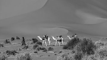 Caravan in de Sahara van Roland Brack