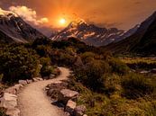 Le chemin vers les montagnes - Coucher de soleil sur le Mont Cook par Max Steinwald Aperçu