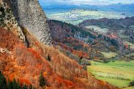 Herfstkleuren Auvergne 11 van Ruud Peters thumbnail