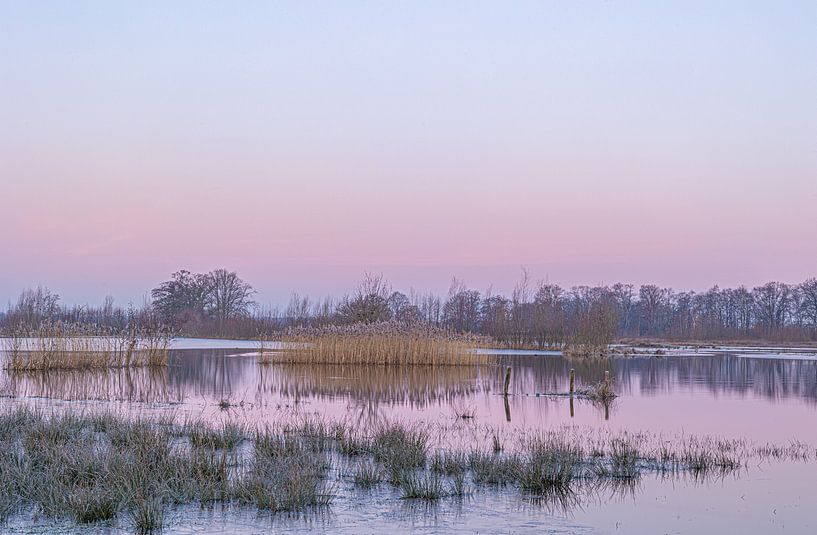 Morning glow by Michel Hol