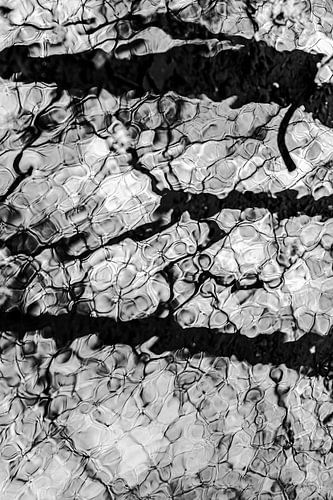 Reflectie in beweging