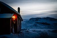 Une lumière dans les jours froids