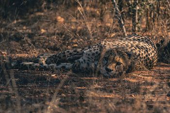 Zwischen Vertrauen und Wachsamkeit