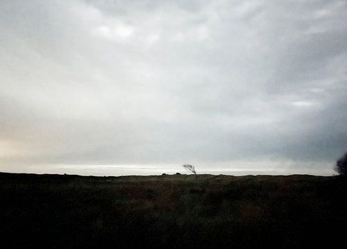 Starke Bewölkung auf dem Pfad der Zwanzig