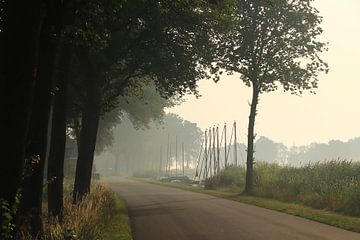 Nebliger Morgen in Friesland von Fotografie Sybrandy