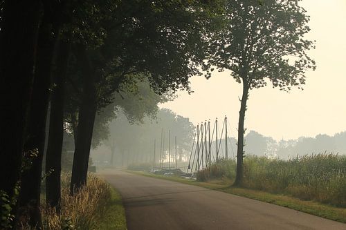 Mistige ochtend in Friesland