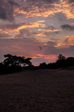 Sunset Colors 8 - Loonse en Drunense Duinen van Deborah de Meijer