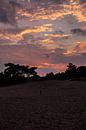 Sunset Colors 8 - Loonse en Drunense Duinen van Deborah de Meijer thumbnail