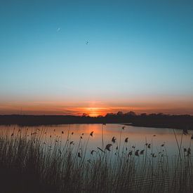 Dunkelblauer Sonnenuntergang von Wouter van der Weerd