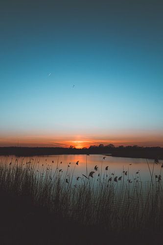 Dunkelblauer Sonnenuntergang
