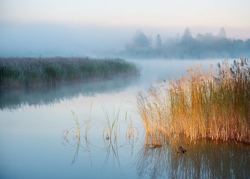 Silence du matin par BMac