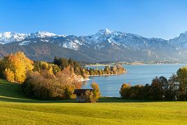 Forggensee und Allgäuer Alpen im Herbst, Allgäu, Bayern, Deutschland von Markus Lange