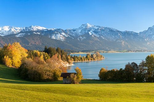 Forggensee and Allgäu Alps in autumn, Allgäu, Bavaria, Germany