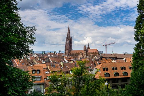 Freiburg im Breisgau cathedral between green trees by adventure-photos