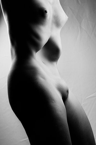 Vrouwelijk Lichaam - Naakte vrouw in closeup gefotografeerd. van Photostudioholland