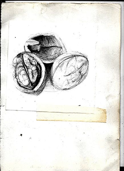 NOTES by Vincent Jacobs