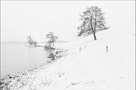 50 tinten sneeuw van Marcel Ohlenforst thumbnail