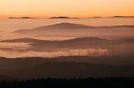 Sea of fog at the foot of the Lusen by Max Schiefele thumbnail