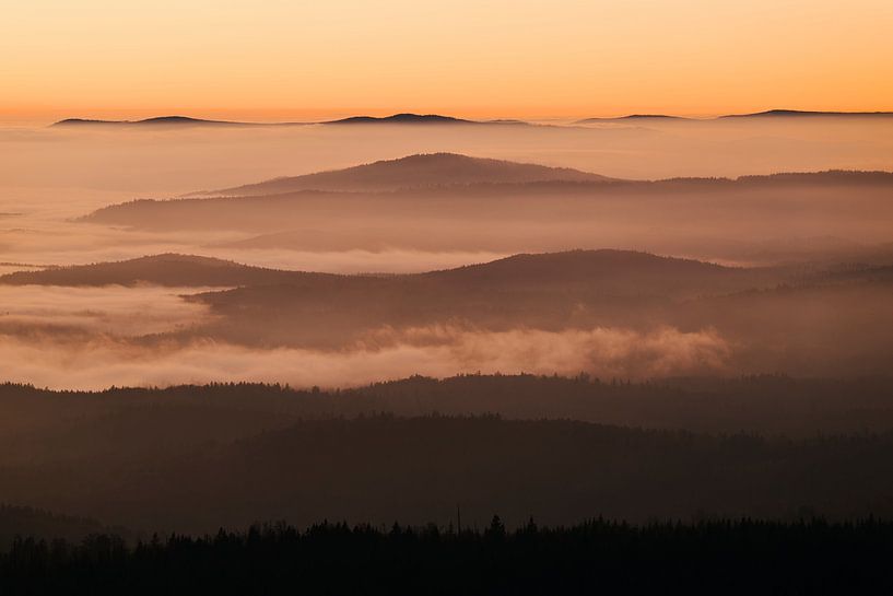 Sea of fog at the foot of the Lusen by Max Schiefele