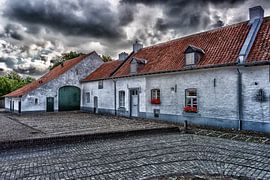 Thorn by GB73Photography