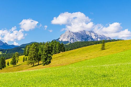 Landschap in de Buckelwiesen tussen Mittenwald en Krün in 