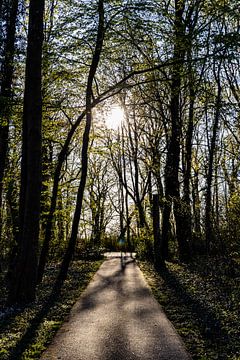 Rathenow "City of Optics by DK | Photography