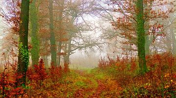 Colors of the Forest (Bos in warme kleuren) van Caroline Lichthart