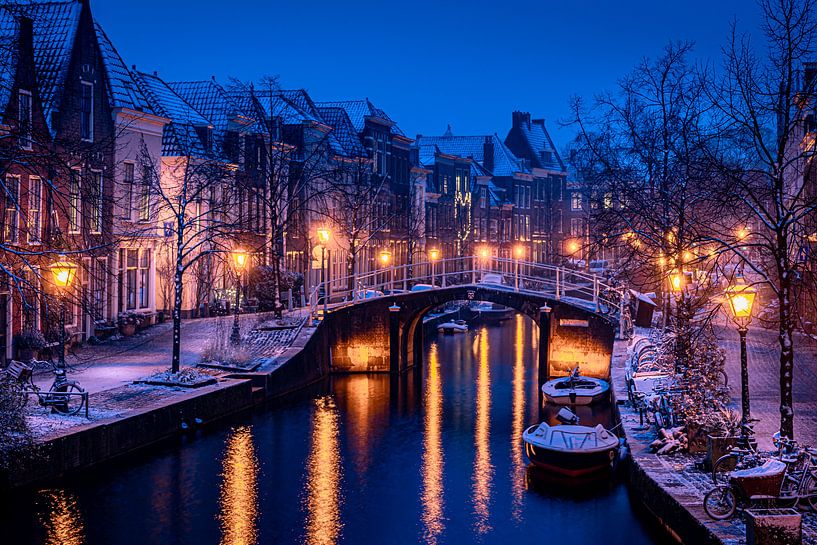 Leiden in Lockdown by Carla Matthee