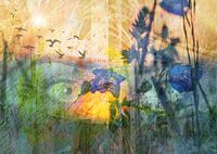 Hidden harmony