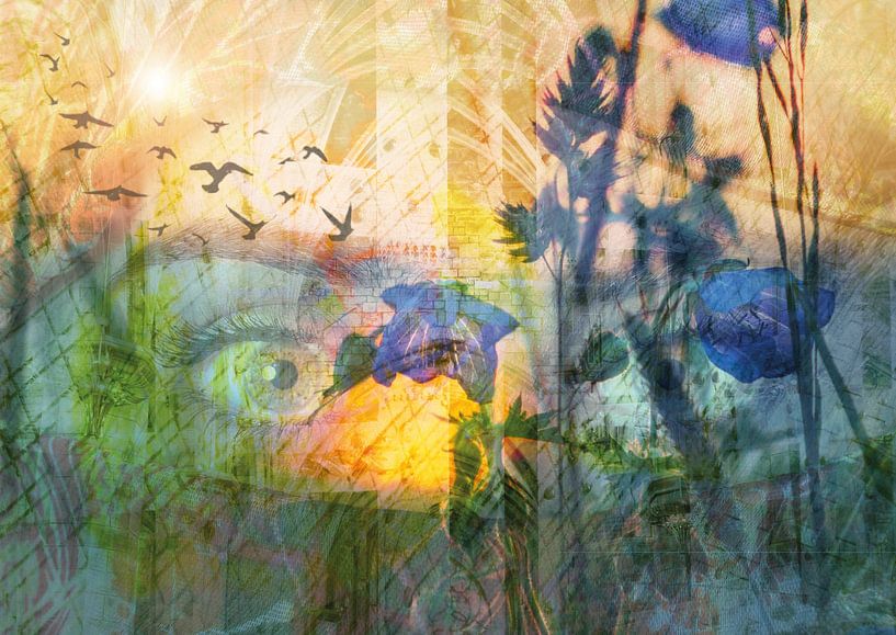 Hidden harmony by Andreas Schulte