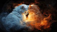 Chats
