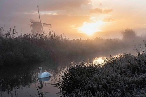 Sunrise in Kinderdijk