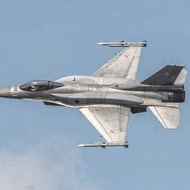 Polish F-16C van Dennie Vercruijsse