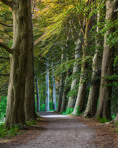 Landgoed Pettelaar, Den Bosch, avondfotografie van Goos den Biesen