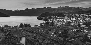 The city of Spiez in black and white