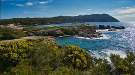 Rocky coast on the Ile du Gaou on the Cote d'Azur by Tanja Voigt