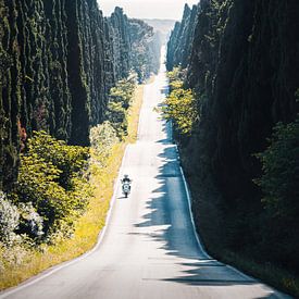 Italienische Straße mit Zypressen und Vespa. von Roman Robroek