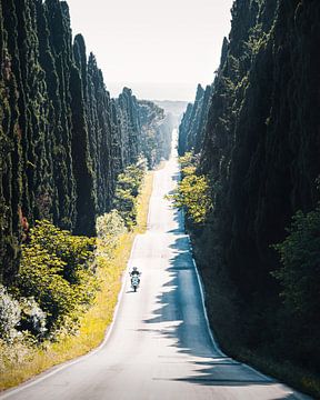 Italiaanse Straat met Cipressen en Vespa. van Roman Robroek - Foto's van Verlaten Gebouwen