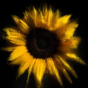 "verdampfende Sonnenblume" von Marjolijn van den Berg