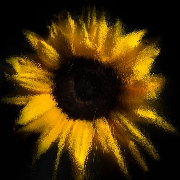 "tournesol évaporant" par Marjolijn van den Berg