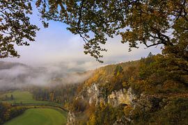 Vue du point de vue de Burgstall au-dessus de Fridingen sur les derniers restes de brouillard dans la vallée du Danube - Parc naturel du Haut-Danube sur BlattArt - Christine Horn