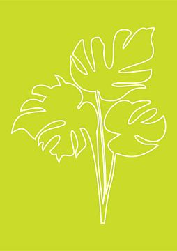 Minimalist Nature & Abstract Illustration Collection