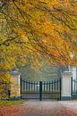 Entrance gate to Het Loo Palace Park by Moetwil en van Dijk - Fotografie thumbnail