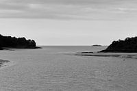 Estuarium #1