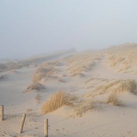 Dünen bei Sonnenuntergang von Desirée de Beer